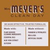MRS. MEYER'S CLEAN DAY Dish Soap Acorn Spice, 16 Fl