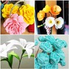 KYMY Crepe Paper, Crepe Paper Rolls Flower DIY Kits with