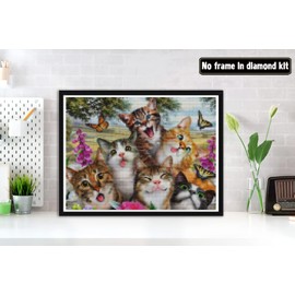 Bimkole 5D Diamond Painting Accessories Cat Flower Pictures, DIY Animals Diamond Painting Kit Full Round Drill Painting by Numbers Painting Embroidery Cross Stitch Diamond Decoration (30 x 40 cm)
