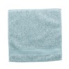 Tanaka Sangyo Menka Imabari Handkerchief, Sprout, Blue, Approx. 9.8 x