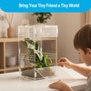 Duedusto Jumping Spider Enclosure 6”x6”x10”, Arboreal Tarantula Enclosure, Praying Mantis