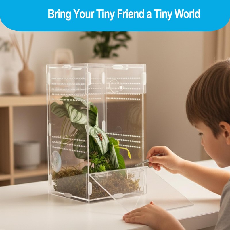 Duedusto Jumping Spider Enclosure 6”x6”x10”, Arboreal Tarantula Enclosure, Praying Mantis