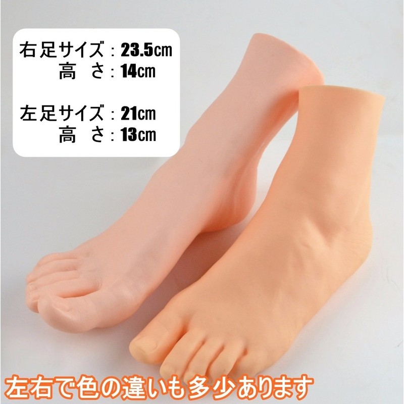 Foot Mannequin Torso Female Real Foot Model, Life-size Size (Set