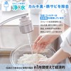 Kurita RSMX-3087 Roka Shower MX1