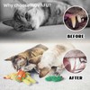 5 Pack Catnip Toys,Organic Cat nip Filled Toys for Indoor