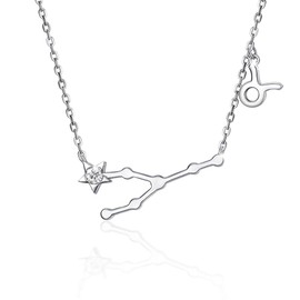 CRYSLOVE Necklace Zodiac Sign Cubic Zirconia Constellations 12 Horoscope Astrology Pendant Chain Clear Jewellery for Women Girls, Crystal, Cubic Zirconia