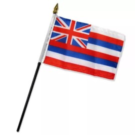 Tradewinds 4x6 Hawaii Stick Flag Table Staff Desk Table