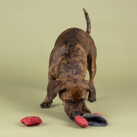 Fringe Studio Plush Dog Toy, Snack Attack, Hide & Seek Interactive Pet Toy, Pet Shop Collection (289228)