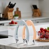 Enyolidimk 2 Pack Strawberry Huller Stem Remover Tomato Pineapple Corer