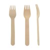 Perfect Stix Green Fork 158- 24ct Birchwood Compostable Cutlery Fork,