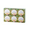 Flora Botanical Extract Body Soap (Unscented), Flora Royal Soap, Set