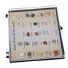 CIYODO Interactive Learning Set 25 Specimen Mini Display Boxes Crystal