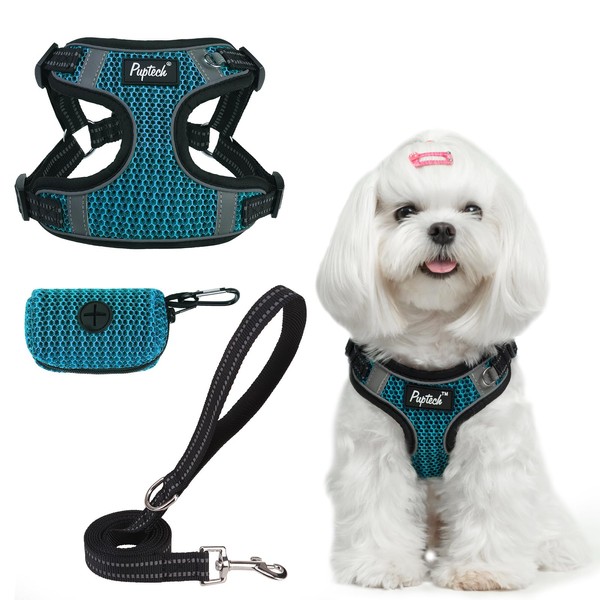 PUPTECK No Pull Dog Harness and Leash Set Reflective No
