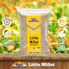 Rani Little Millet (Panicum Sumatrense) Whole Ancient Grain Seeds 14oz