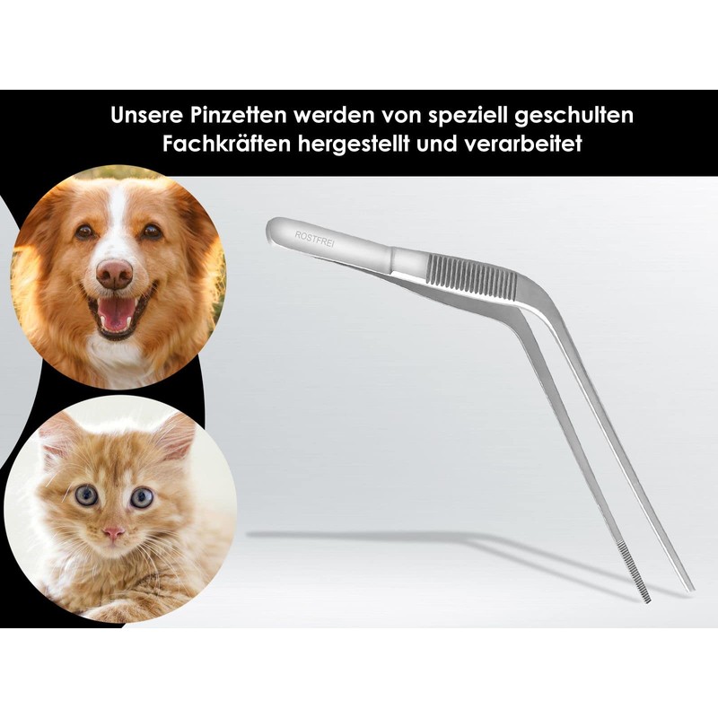 Curved Ear Tweezers - Stainless Steel