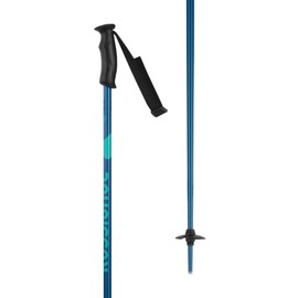 Rossignol Electra Alpine Ski Poles - Downhill Ski Poles for Women - Black