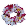 Rainview Creations Women Teen Girls Floral Headband Hawaiian Plumeria Flower