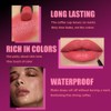 2Pcs 2 in 1 Matte Rose Lip Liner and Lipstick