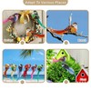 Dwafill 12 Pcs Multicolor Artificial Feather Garden Birds Clip Birds