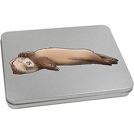Azeeda 220mm 'Sleeping Baby Ferret' Metal Hinged Tin/Storage Box (TT00152814)