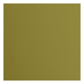 Vaessen Creative Florence Smooth Cardstock Paper, Acacia Green, 216 Grams, 12x12 inches, 20 Sheets, for Scrapbooking, Card Making, Die Cutting and Other Paper Crafts