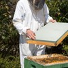 HiveSweet Telescopic Bee Hive Cover 8 Frame Metal Top Beehive