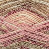 King Cole 1073431 Drifter DK Delaware Yarn - 300M, 100g
