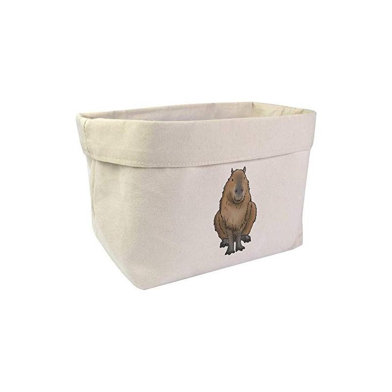 Large 'Sitting Capybara' Canvas Organiser/Storage Bag (OR00015718)