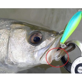 Gamakatsu Treble Hook Rose Twin RB-M Silver Limited