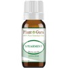 Spearmint Essential Oil 10 ml. 100% Pure Undiluted Therapeutic Grade
