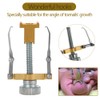 Anself Professional Ingrown Toenail Correction Toenail Treatment Pedicure Tool