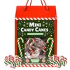 Bulk Individually Wrapped Mini Candy Canes, Classic Christmas Candies, Peppermint