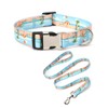 Dog Collar and Leash Set with Safety Locking Metal Buckle,