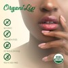 Bálsamo labial orgánico, sabor a menta verde, humectante labial ultrahidratante