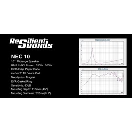 Resilient Sounds Powerful/Clear Neo 10" midrange 250RMS/500Watt