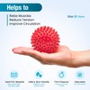 Beenax Lacrosse & Spiky Massage Ball Set - Perfect for