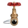 CocinaCo Vintage Steampunk 1/2 Inch Red Handle Stop Valve Light