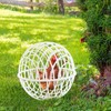 Chicken Cage Ball Shaped Moving,20/40cm Rolling Round Cage for Chickens,Pet