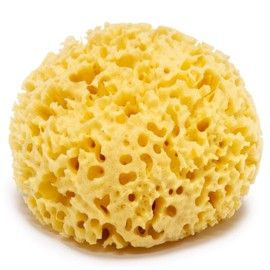 Natural Sponge Large 13 cm Premium Quality Grass Durable Large Pore 100% Natural & Organic Bath Sponge from the Mediterranean Sea Sponge