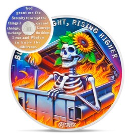 Sunflower Skull 3 Year Sobriety Coin - Dumpster Fire Three Year AA Coins - Recovery Addiction NA AA Chips and Medallions - 1-10 Prime Celebrate Clean Narcotics Alcoholics Anonymous Gifts for Men Women
