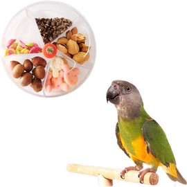 Coehaopike Parrot Foraging Wheel Toy - Interactive Treat Puzzle Feeder for Birds, Clear Plastic, Durable Foraging Ball with Mounting Hardware, 5.12 Inches Diameter (Transparent)
