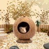 Yeqqzq Coconut Hut Hamster House Bed, Coconut Shell House for