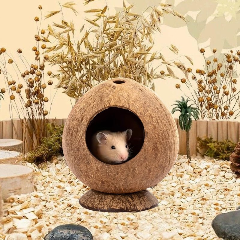 Yeqqzq Coconut Hut Hamster House Bed, Coconut Shell House for