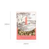 뽕나무가지(상지) 300g 버릴 것이 하나없는 뽕나무 Mulberry Twigs (Sangji) 300g