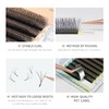 ANNAFRIS Eyelash Extension 2Tips 3D WW Lash Extension 0.07 C