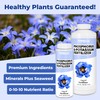Phosphorus and Potassium Fertilizer, Complete Liquid Phosphorus and Potassium for