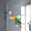 Parrot Bath Perch,Bird Perches Parrot Budgie Foldable Suction Cup Window
