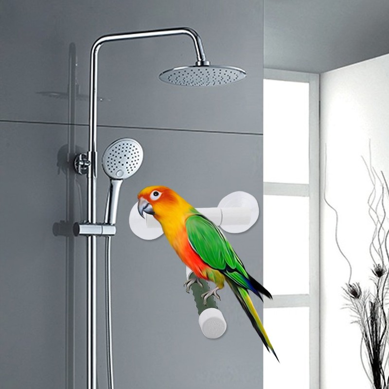 Parrot Bath Perch,Bird Perches Parrot Budgie Foldable Suction Cup Window