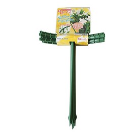 Hana Sasae, 6 Pieces, Large