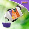 Bonide Fung-onil Multi-Purpose Fungicide, 16 oz Concentrate for Plant Disease